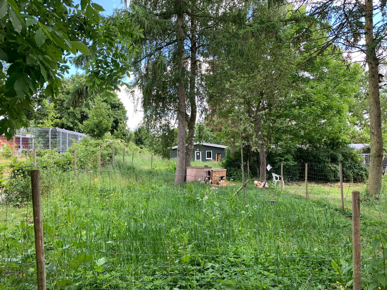 Eine eingezäunte Grünfläche auf der Tiere in weiterer Ferne zu sehen sind